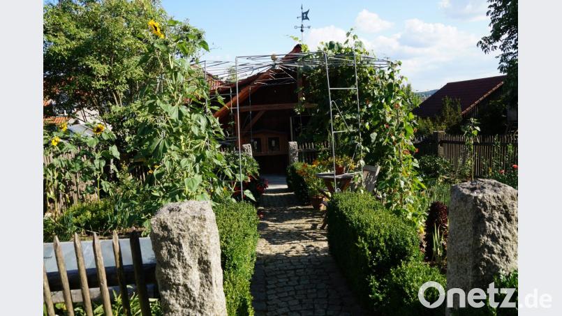 Margit Maier ist für Säen, Pflanzen und Ernten zuständig, Gerhard Maier sorgt für die handwerklichen Dinge wie den selbstgeschmiedeten Pavillon. Bild: weu