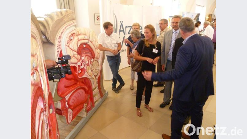 Der Ärzteverbund Oberpfalz Mitte (Zweiter von rechts: Vorsitzender Dr. Harald Schmaußer) stellt heuer ein überdimensionales Kopf-Modell vor. Bild: Hubert Uschald