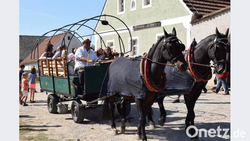Ein Platz auf der Kutsche war bei Jung und Alt gleichermaßen begehrt. Bild: bnr