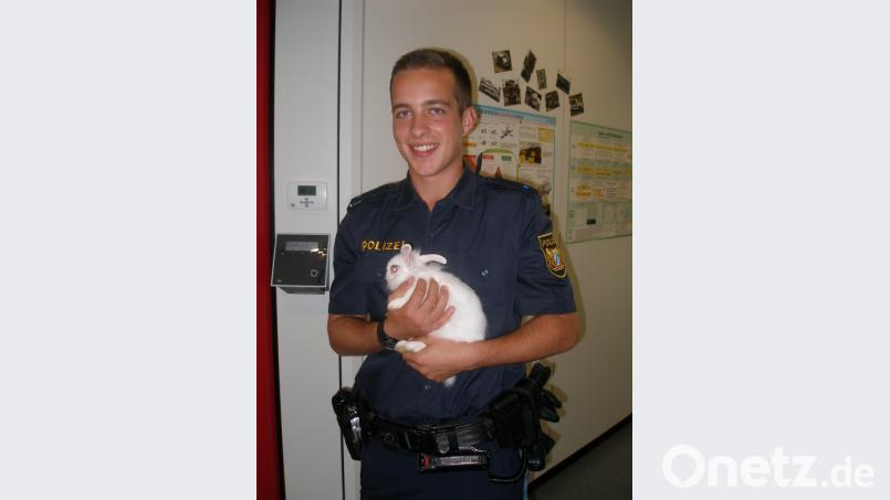 Der kuschelige Zwerghase ist momentan in &quot;Schutzhaft&quot; in der Vohenstraußer Polizeiinspektion. Stefan Striegl kümmert sich um ihn. Bild: dob