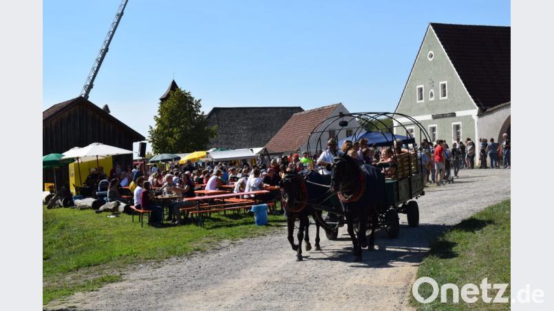 Im Naabtaldorf konnte Brotzeit gemacht werden. Bild: bnr
