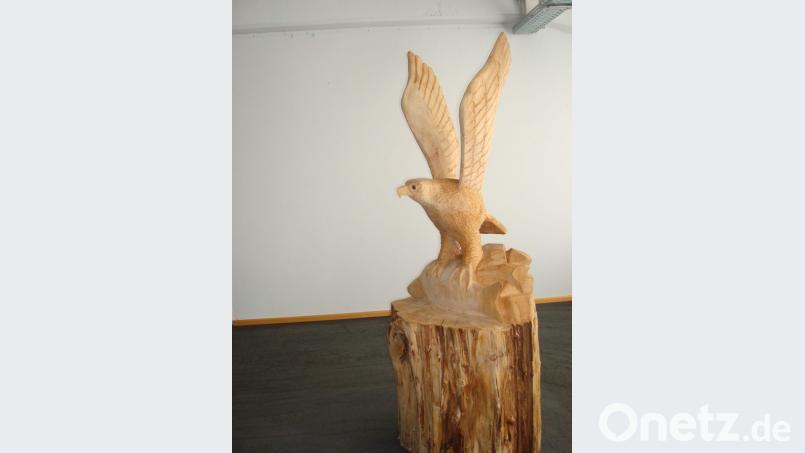 Der Adler ist gelandet. Bild: wmr