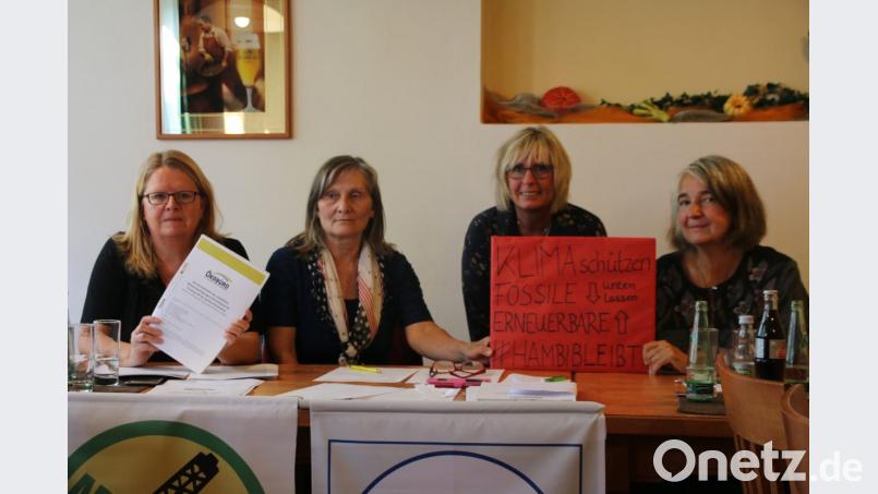 Ein Quartett für die Aarhus-Konvention (von links): Brigitte Artmann, Hilde Lindner-Hausner, Dagmar Keis-Lechner und Sonja Schuhmacher. Bild: jrh