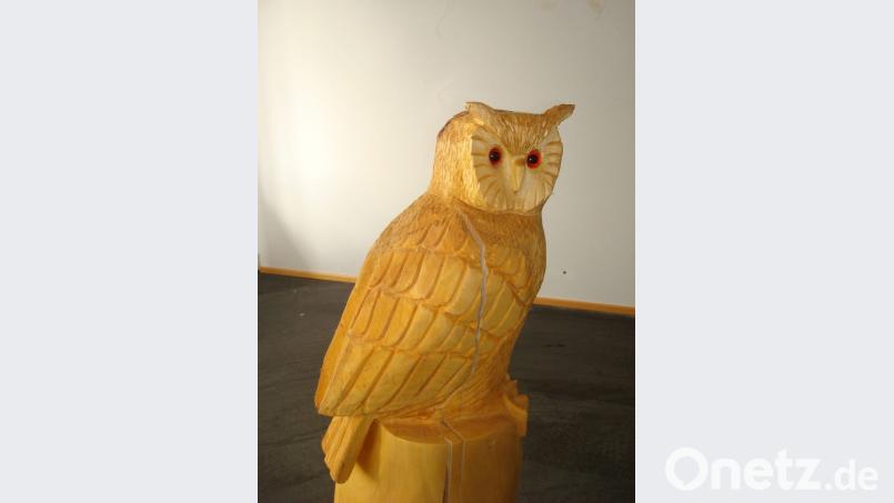 Verträumt sitzt die Eule auf dem Baumstamm. Bild: wmr