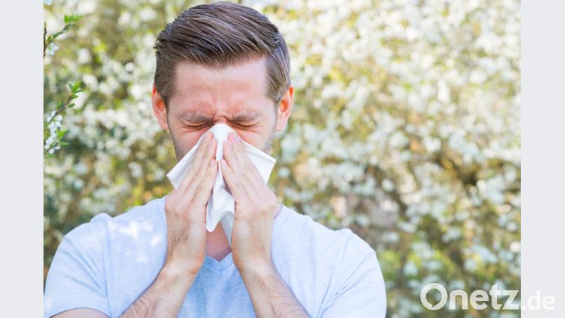 Bild: mkrberlin – stock.adobe.com