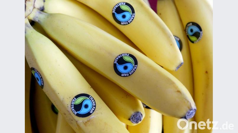 Nicht nur Bananen sollten in einer Fair-Trade-Stadt wie Amberg aus kontrolliertem Anbau kommen. Die passenden Produkte zu finden, erfordert einen enormen personellen Aufwand. Bild: Jörg Carstensen/dpa