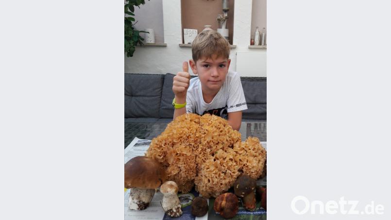 1,7 Kilo wog die „Fette Henne“, die Timo Lohrer bei Waldsassen entdeckte. Bild: jr