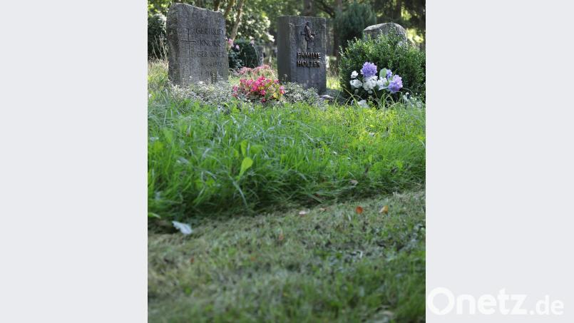Betriebshof-Mitarbeiter haben zumindest die zusammenhängenden Großflächen auf dem Raigeringer Waldfriedhof gemäht. Die Bereiche zwischen den Gräbern und an den Hängen müssen aus Sicherheitsgründen jedoch noch unberührt bleiben, heißt es dazu aus dem Rathaus. Bild: Wolfgang Steinbacher