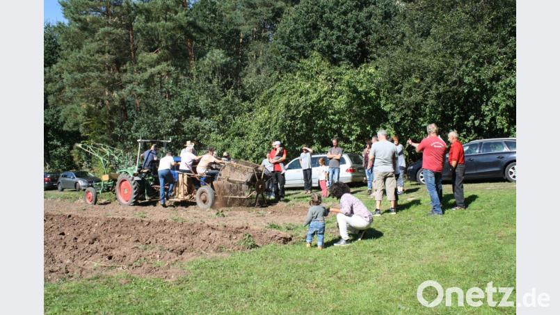 Für die Reiferen eine Jugenderinnerung, für die Jüngeren eine Attraktion aus vergangener Zeit: Der gut gepflegte Samro-Kartoffelvollernter der Zessauer Bulldogfreunde von 1952 leistet noch immer gute Dienste. Zuvor hatte Hans Prösl mit seinem pflugscharbewehrten "Allgaier" von 1949 den Boden aufgebrochen. Bild: bjp Bild: bjp