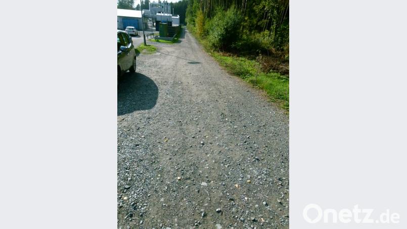 Dieser Waldweg wird den Erfordernissen von Holzschwerverkehr und der Zufahrt zum Koppe-Gelände angepasst. Bild: rn