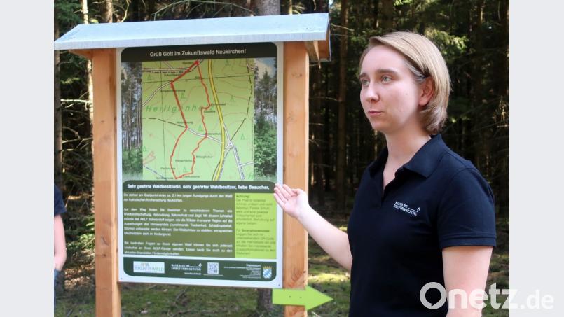 Projekt-Försterin Hannah Sieren gestaltete die Tafeln der Lehrpfade &quot;Zukunftswald&quot; und führte die Teilnehmer durch den zwei Kilometer langen Themenweg im &quot;Kirchenwald&quot; bei Neukirchen. Bild: Hirsch