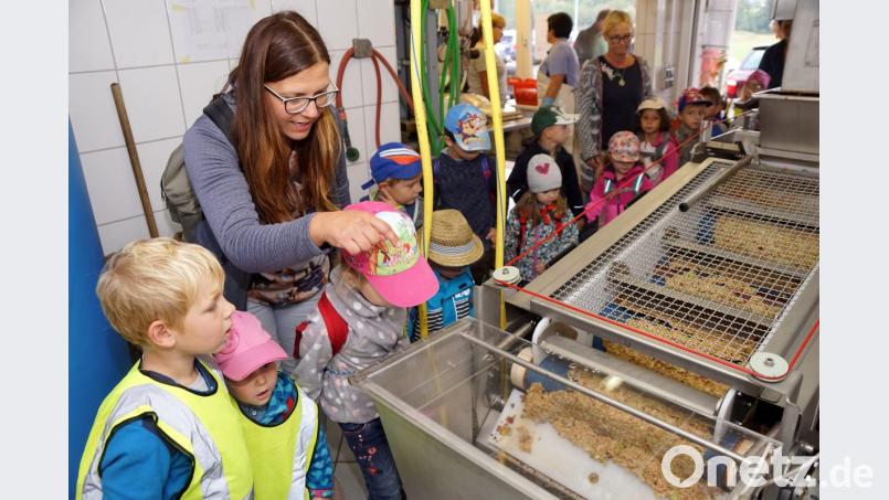 Die Buben und Mädchen des Kindergartens schauen gespannt zu, wie aus Früchten Saft wird. Bild: bkr
