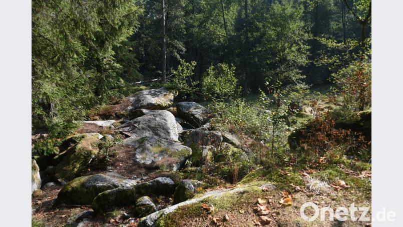 Schwarzenschwal wurde schon bald dem Verfall preisgegeben. Bild: sds