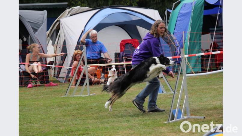 Leidenschaft und Begeisterung zeigt Daniela Roll für Agility. Sie brauche den Adrenalinkick, der bei dieser rasanten Sportart garantiert sei, möchte aber auch nicht mehr auf den Heidenspaß dabei verzichten. Bild: Adele Schütz