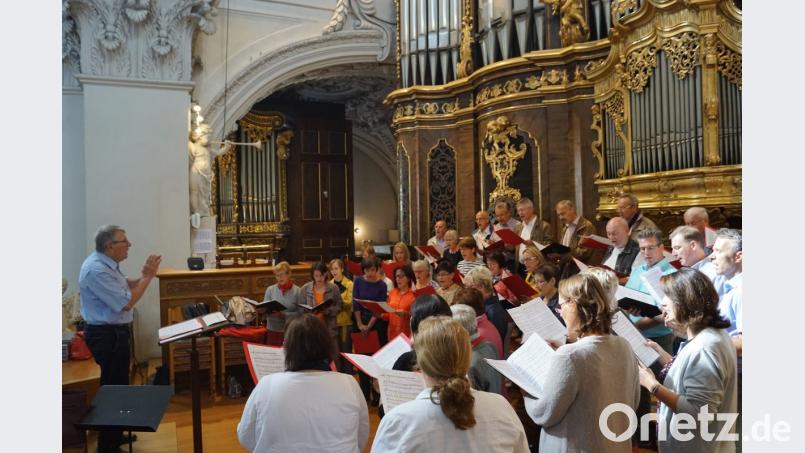Als Chorgemeinschaft gestalteten die Schönseer und Oberviechtacher Kirchenchöre im Passauer Dom gemeinsam mit dem Domorganisten Ludwig Ruckdeschel einen Gottesdienst. Bild: weu