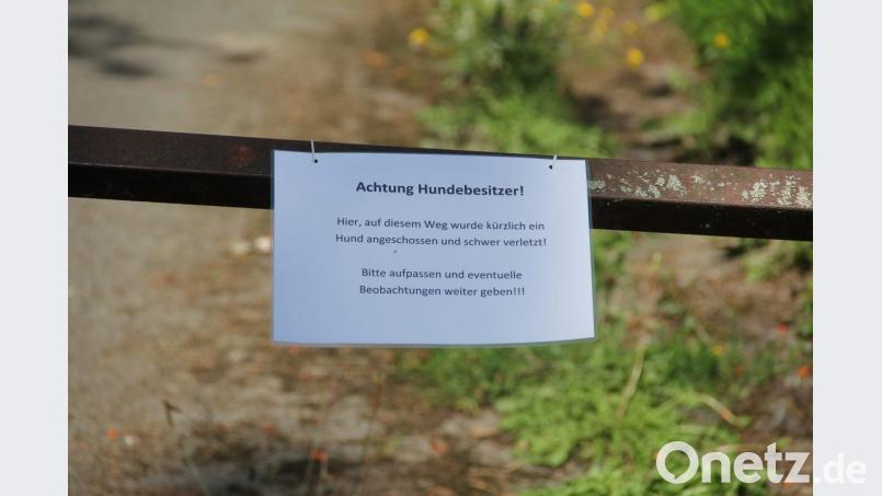 Ein Schild in der Nähe des Kinderspielplatzes am Ulmen-/Erlenweg warnt Passanten am Hammerweg wegen angeblicher Schüsse auf einen Hund. Bestätigt werden konnten diese bisher nicht, stattdessen brodelt die Gerüchteküche. Bild: Detlef Bartonek