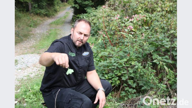 Kräuterkoch Andreas Meier erklärte genau, welches Kraut und welche Blüten sich zur Speisenzubereitung eignen. Bild: frd