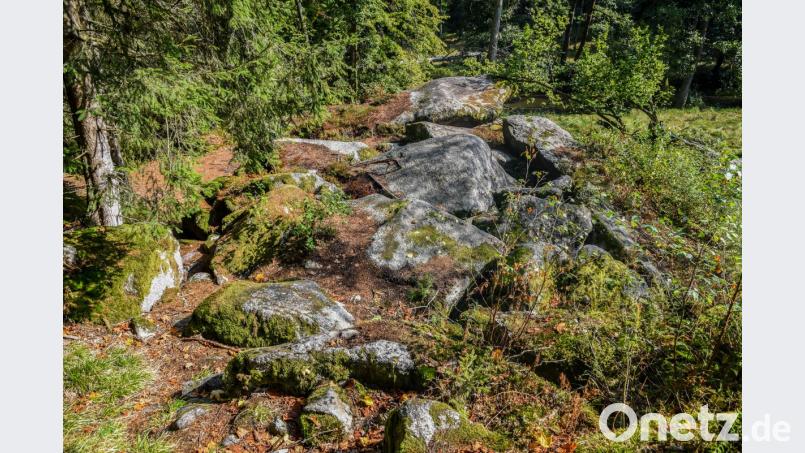 Der &quot;mittelalterliche Burgstall Schwarzenschwal“ ist als Bodendenkmal beim Bayerischen Landesamt für Denkmalpflege registriert. Bild: sds