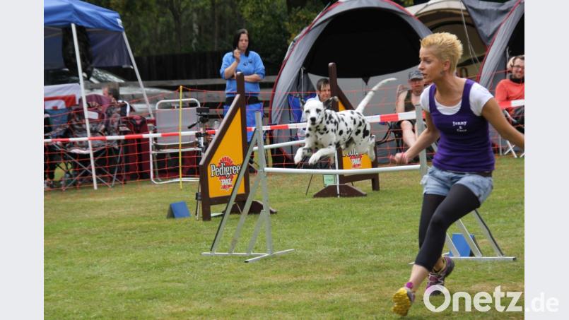 Um bei Agility den Parcours mit zahlreichen Hindernissen in der vorgegebenen Zeit zu durchlaufen, müssen Zwei- und Vierbeiner ein perfektes Team sein. Bild: Adele Schütz
