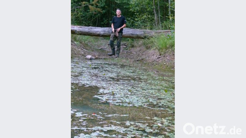 Um einen Meter ging der Wasserstand im Teich des Walderlebnispfades zurück Bild: rn