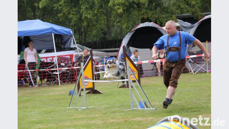 Agility hat sich zu einer internationalen Sportart entwickelt. Bild: Adele Schütz
