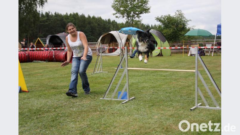 Der Hund läuft im Parcours frei (ohne Halsband und Leine) und wird ausschließlich durch Hörzeichen und Körpersprache geführt. Bild: Adele Schütz