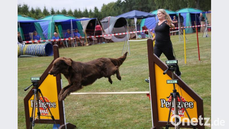 Der Verein organisiert jährlich ein bis zwei Turniere auf seinem Gelände hinter dem Naturerlebnisbad Schnaittenbach. Bild: Adele Schütz