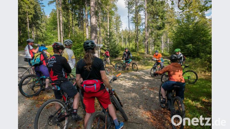 Zu einem Erfahrungsaustausch und einer Mountainbike-Tour rund um den Ochsenkopf trafen sich in Fleckl Sportler und Förster der Bayerischen Staatsforsten aus Anlass der „Deutschen Waldtage“. Bild: exb