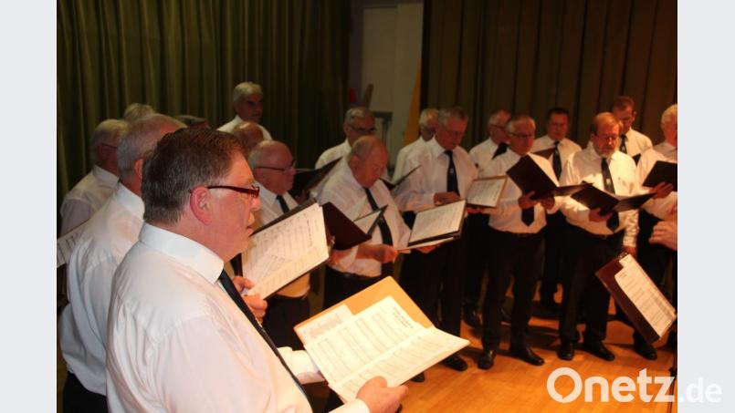 Der Gemeinschaftschor Plößberg-Schönkirch-Wondreb hat das Publikum bei der Sommerserenade im Kultursaal begeistert. Bild: kro