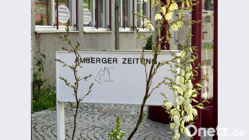Auch am Briefkasten der Amberger Zeitung sind die Zeichen zu finden. Bild: exb