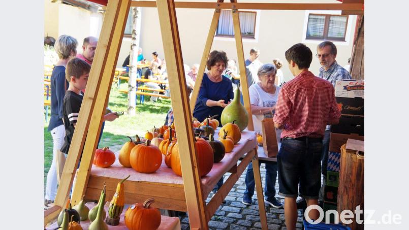 Kürbisse in all ihrer Vielfalt gab es zu entdecken. Bild: agr