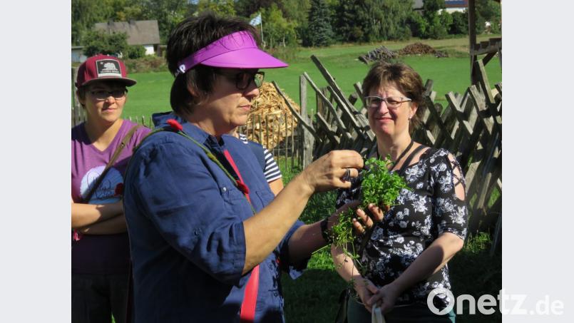 Anhand von Beispielen wie hier die Vogelmiere erklärte Ulrike Gschwendtner (li.) die Wirkung der Pflanzen. Bild: ubb