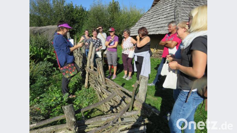 In jeder Ecke und in jedem kleinen Garten im Geschichtspark wurde Kräuterführerin Ulrike Gschwendtner (links) fündig. Hier erklärt sie das Heilmittel Dost. Bild: ubb