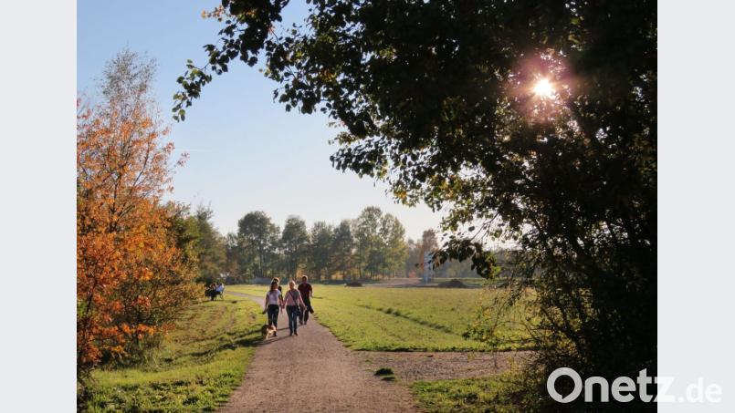 Der Wandertag wird zur Wanderwoche ausgeweitet. Reizvolle Touren stehen auf dem Programm des Zweckverbandes Oberpfälzer Seenland. Bild: Götz