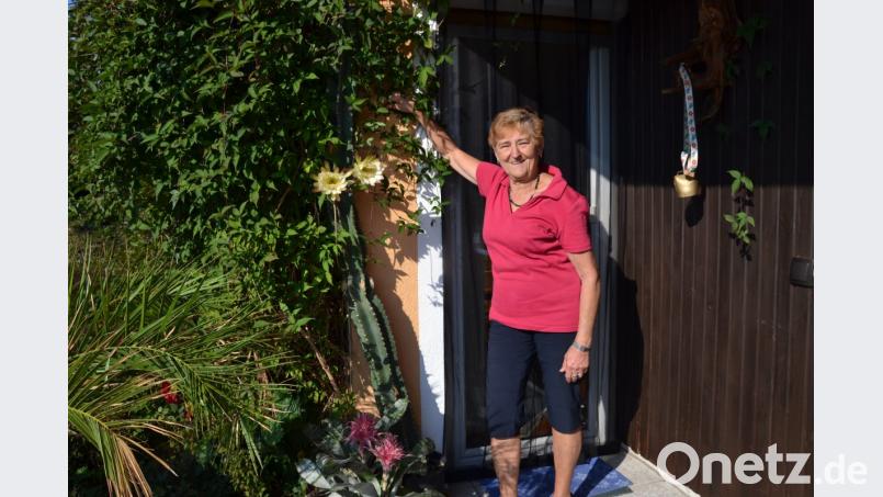 Annelies Rappl freut sich über die Blütenpracht der Königin der Nacht an ihrem über zwei Meter hohen Kaktus. Bild: gi