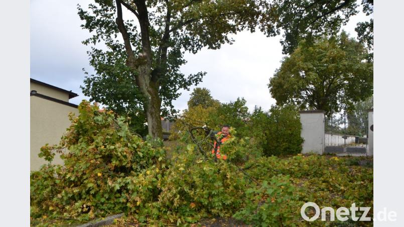 Am städtischen Friedhof wütete der Sturm in den großen Bäumen. Die Bauhofarbeiter hatten am Montagfrüh alle Hände voll zu tun. Bild: dob