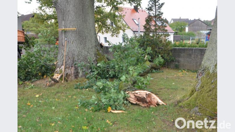 Mächtige Äste brachen wie Zündhölzer von der alten Eiche auf dem Friedhof ab. Bild: dob