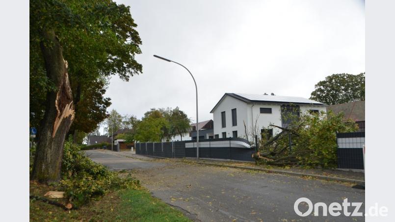 Im Neuwirtshauser Weg erwischte es den Zaun eines neugebauten Anwesens. Die schweren Äste drückten den Metallzaun nieder. Bild: dob