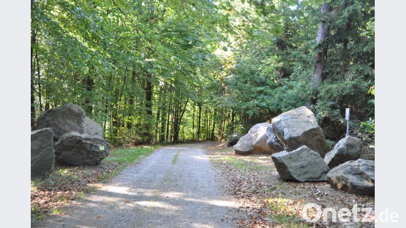 Der 14. Schöpfungstag am Samstag, 29. September, in der Modellgemeinde Biodiversität Tännesberg will Anregungen im Umgang mit unserer Natur geben. Geoparkranger Hans Maier informiert im geologischen Lehrpfad über das Erdzeitalter und die Gesteinsvielfalt. Bild: es
