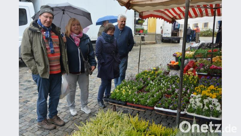 Kaum ein Besucher wagte sich ohne Regenschirm und wetterfeste Kleidung auf den Michaelimarkt. Bild: jr