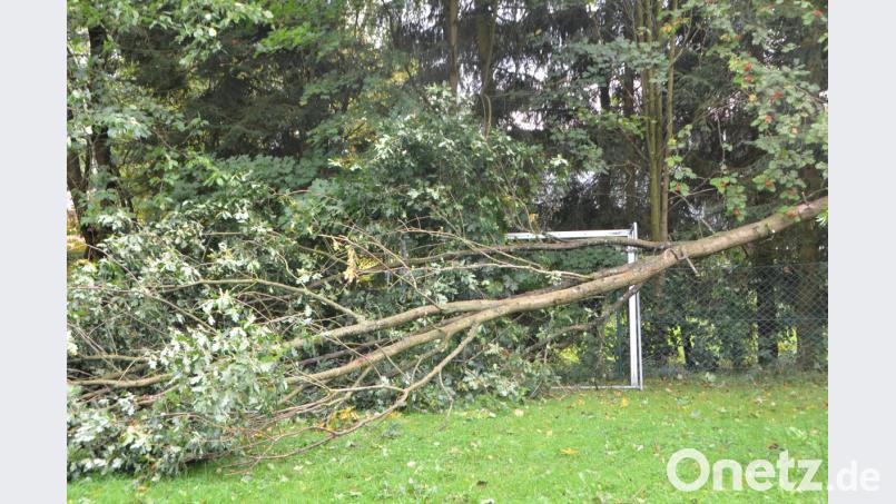 Auch im Freibad an der Pleysteiner Straße sind die Schäden nicht zu übersehen. Mehrere Bäume und Büsche wurden entwurzelt und beschädigten die Zaunanlage. Bild: dob