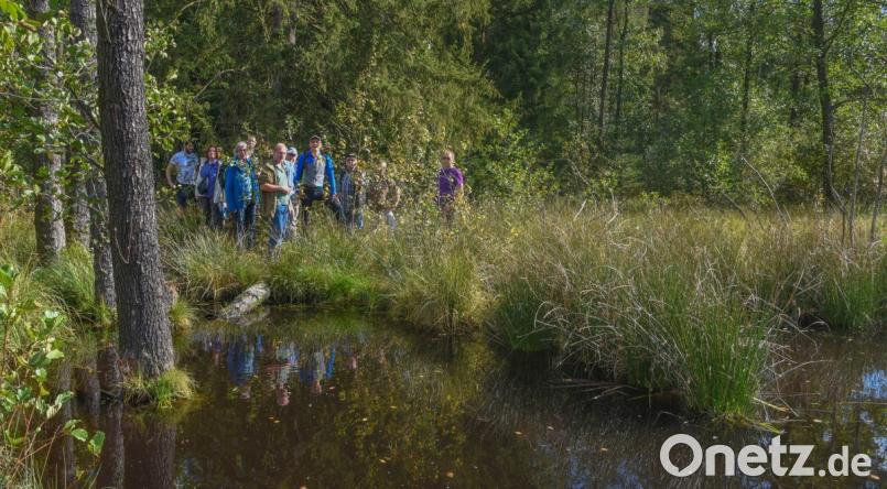 Spannende Wanderung durch den Wald. Die Exkursionsteilnehmer erfuhren Teilnehmer eine Menge wissenswerter Dinge über den Biber. Bild: exb