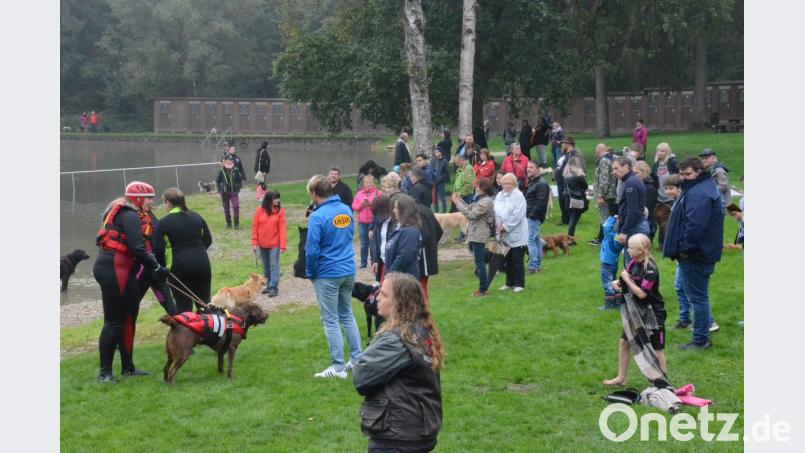 Trotz kühler Temperaturen war der fünfte Hundebadetag im Schätzerbad ein toller Erfolg. Bild: Kunz
