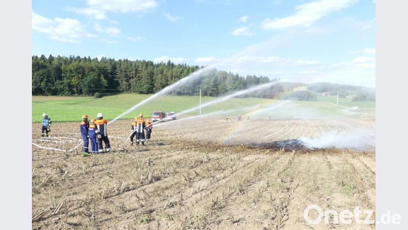 Aus allen Rohren galt es einen Flächenbrand nahe Niederricht zu bekämpfen. Bild: rtw