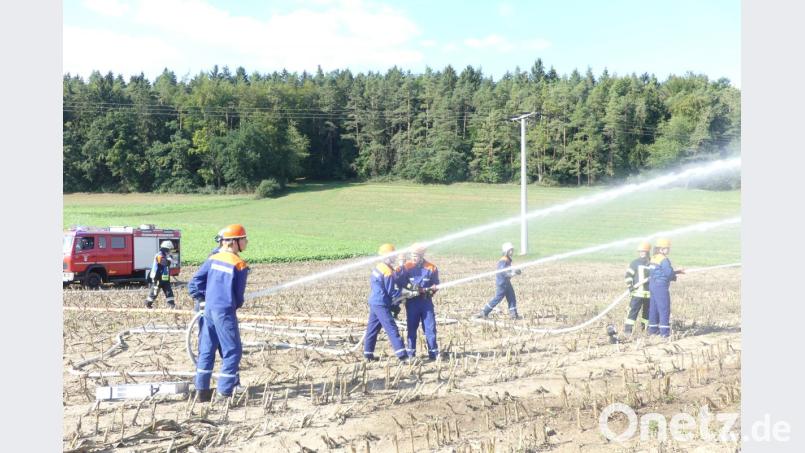 Aus allen Rohren galt es einen Flächenbrand nahe Niederricht zu bekämpfen. Bild: rtw
