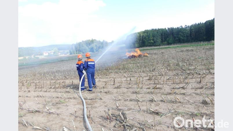 Aus allen Rohren galt es einen Flächenbrand nahe Niederricht zu bekämpfen. Bild: rtw