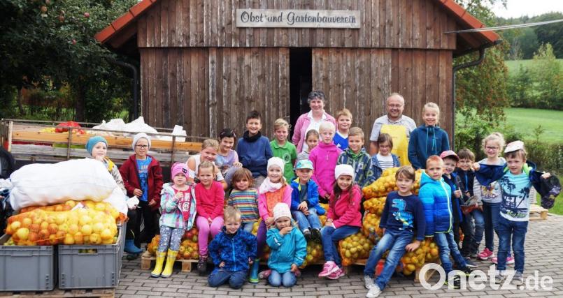 Stolz präsentierten die Kinder die Fülle der gesammelten Äpfel, die sie zusammen mit Vorsitzendem Karl Ruhland, seiner Stellvertreterin Christa Bösl und dem Most- Team zu Saft pressten. Bild: weu