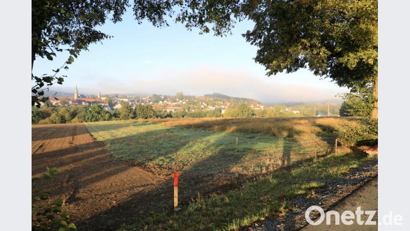 Die ersten Pfosten sind im neuen Baugebiet "Naabhöhe" bereits gesteckt. Mit der hervorragenden Süd-West-Hanglage haben die zukünftigen Bewohner einen herrlichen Blick auf die Stadt und ins Fichtelnaabtal. Bild: njn