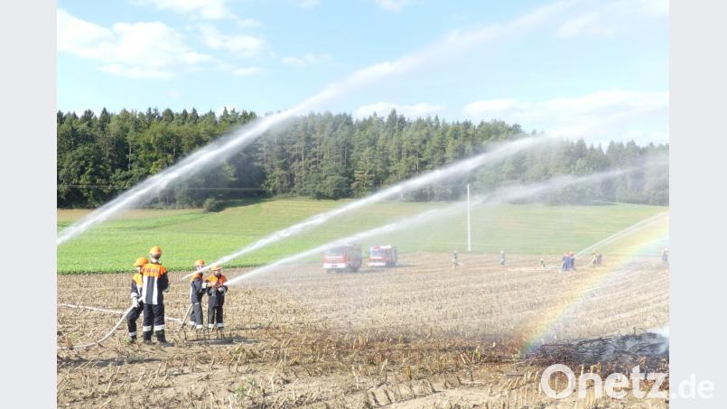 Aus allen Rohren galt es einen Flächenbrand nahe Niederricht zu bekämpfen. Bild: rtw