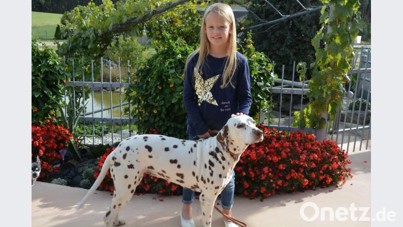 Jolina Hägler, Enkelin von Organisator Johann Heindl, ist voller Vorfreude auf die 21. Dalmatiner-Ausstellung in Münchsgrün. Mit dabei sein wird natürlich auch der zehnjährige „Cinnamon“. Bild: jr